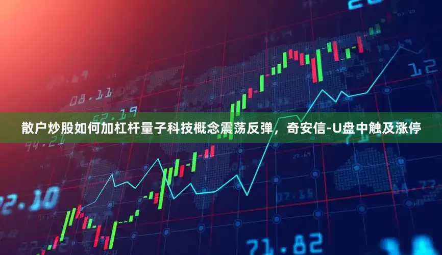 散户炒股如何加杠杆量子科技概念震荡反弹，奇安信-U盘中触及涨停